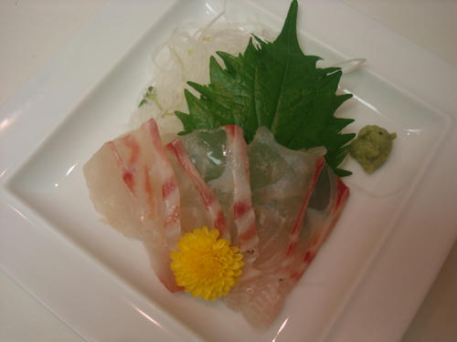 DSC00914.JPG