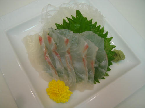 DSC00155.JPG