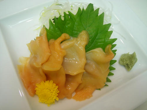DSC00194.JPG
