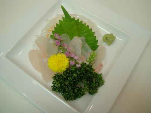 DSC00311.JPG