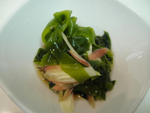 DSC00525.JPG