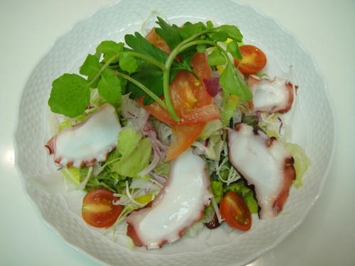 DSC00738.JPG