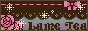 bn-m2.gif