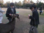 attachement03-05.JPG