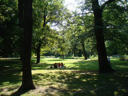 d4470f41.jpg