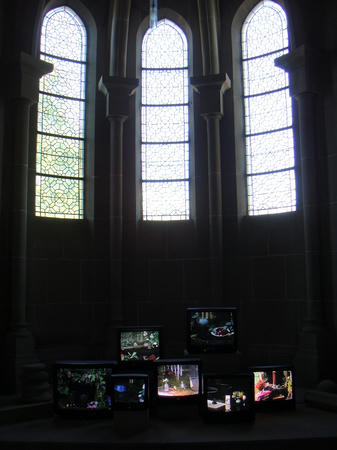 10DSC06805.jpg