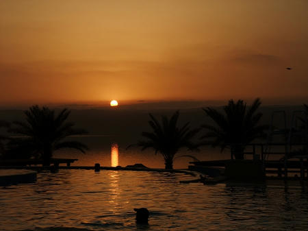 DSCF2639.jpg