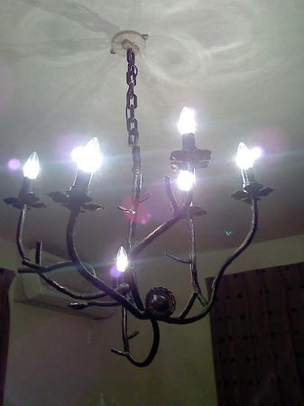 L7050078.jpg