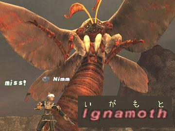 igamoto.jpg