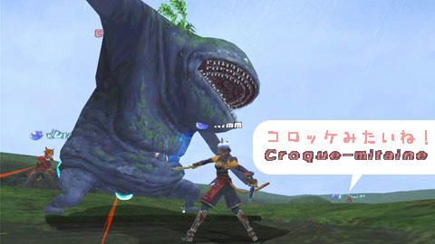 corokke.jpg