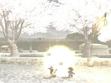 sakura.jpg