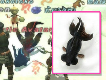 blackcarkun.jpg