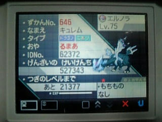 キター 日録