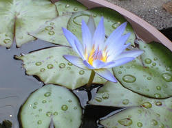 CA3A0105.JPG