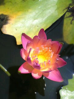 PA0_0048.JPG