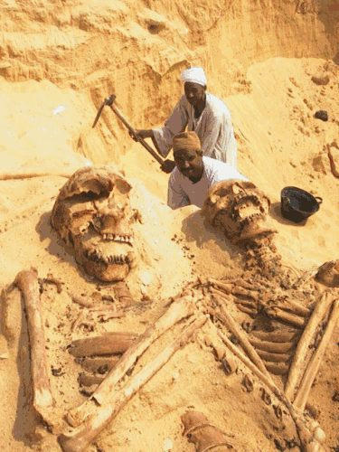 giant_bones.jpg