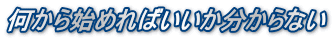 何から始めればいいか分からない