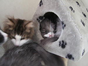 DSCF7047_edited-1.jpg