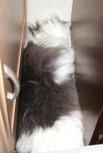 DSCF7129_edited-1.jpg