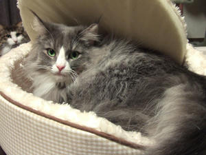 DSCF7148_edited-1.jpg