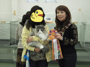 DSCF7235_edited-1.jpg