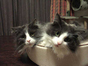 DSCF7239_edited-1.jpg
