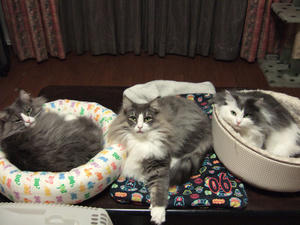DSCF7258_edited-1.jpg