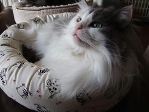 DSCF7149_edited-1.jpg