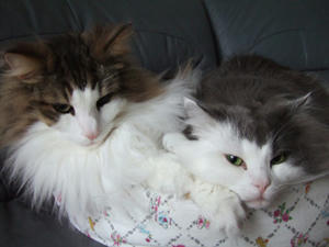 DSCF7264_edited-1.jpg