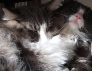 DSCF7308_edited-1.jpg