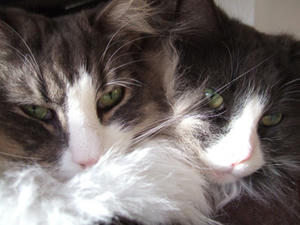 DSCF7317_edited-1.jpg