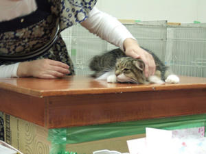 DSCF7438_edited-1.jpg