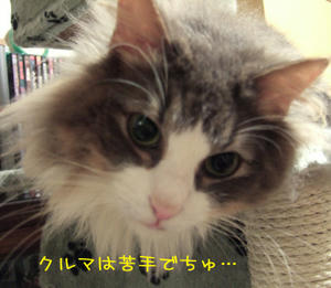 DSCF7563_edited-1.jpg