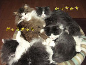 DSCF7604_edited-1.jpg