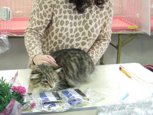 DSCF7644_edited-1.jpg