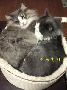 DSCF7674_edited-1.jpg