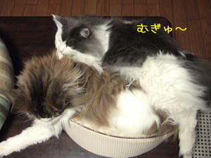 DSCF7680_edited-1.jpg