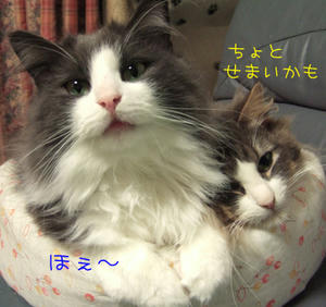 DSCF7617_edited-1.jpg