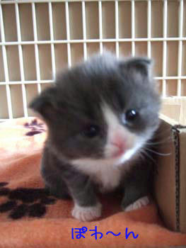 babypuku2.jpg