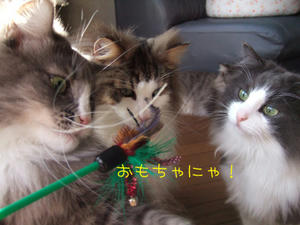 DSCF7722_edited-1.jpg