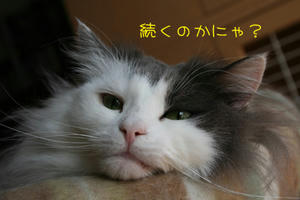 IMG_4842_edited-1.jpg
