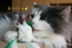 IMG_4850_edited-1.jpg
