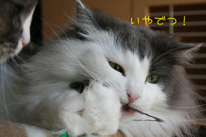 IMG_4873_edited-1.jpg
