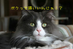 IMG_4841_edited-1.jpg