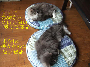 DSCF7813_edited-1.jpg