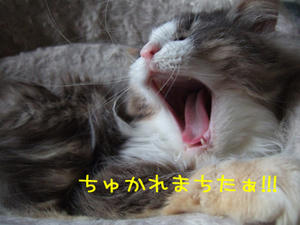 DSCF7884_edited-1.jpg