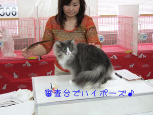 DSCF7893_edited-1.jpg