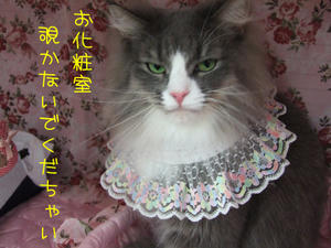 DSCF7910_edited-1.jpg