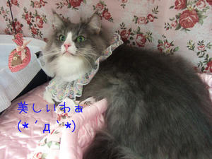 DSCF7904_edited-1.jpg