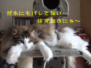 DSCF7850_edited-1.jpg